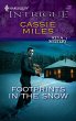Footprints in the Snow (eBook, ePUB) - Bild 1