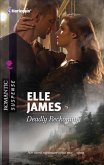 Deadly Reckoning (eBook, ePUB)