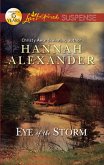 Eye of the Storm (eBook, ePUB)