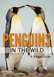 Penguins in the Wild (eBook, ePUB) - Bild 1