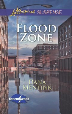 Cover Flood Zone (eBook, ePUB)