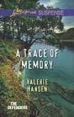 A Trace of Memory (eBook, ePUB)