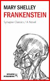 Frankenstein (eBook, ePUB)