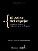 El color del espejo (eBook, ePUB)