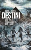 Destini (eBook, ePUB)