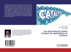 Iron Based Binary Oxides Catalyst for Applications in Catalysis