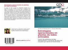 Estrategias operacionales en plantas de lodos activados - Rodriguez Herran, Lina Marcela;Molina Perez, Francisco