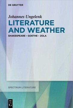 Literature and Weather (eBook, PDF) - Ungelenk, Johannes