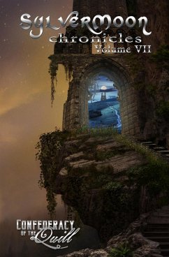 Cover SylverMoon Chronicles (eBook, ePUB)