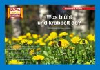 Kamishibai: Was blüht und krabbelt da?