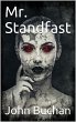 Mr. Standfast (eBook, ePUB) - Bild 1