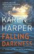 Falling Darkness (eBook, ePUB) - Bild 1