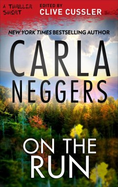 Cover On the Run (eBook, ePUB)