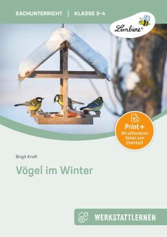 Vögel im Winter - Kraft, Birgit