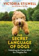 The Secret Language of Dogs - Bild 1