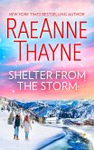 Shelter from the Storm (eBook, ePUB)