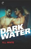 Dark Water (eBook, ePUB)