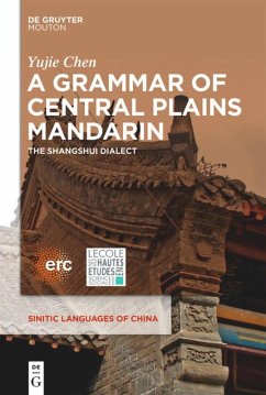 A Grammar of Central Plains Mandarin - Chen, Yujie