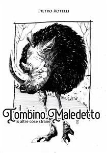 Il Tombino Maledetto (eBook, ePUB) - rotelli, pietro