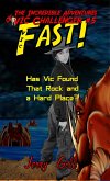 Vic Fast (eBook, ePUB)