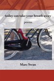 today can take your breath away (eBook, ePUB)