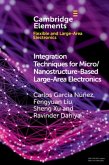 Integration Techniques for Micro/Nanostructure-Based Large-Area Electronics (eBook, PDF)