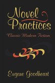 Novel Practices (eBook, PDF) Novel Practices (eBook, PDF)