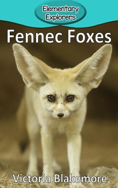 Fennec Foxes - Blakemore, Victoria