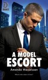 A Model Escort: Volume 77