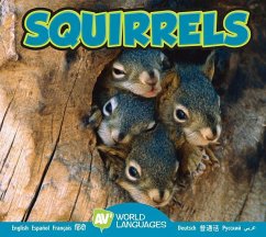 Squirrels - McGill, Jordan