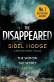 The Disappeared: a gripping mystery thriller