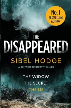 The Disappeared: a gripping mystery thriller - Hodge, Sibel