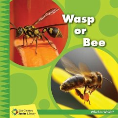 Wasp or Bee - Orr, Tamra