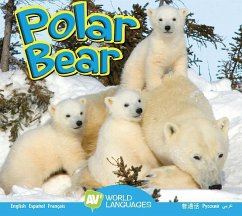 Polar Bear - Macleod, Steve