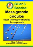 Billar 3 Bandas - Mesa grande circulos