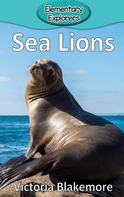 Sea Lions - Blakemore, Victoria