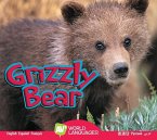 Grizzly Bear