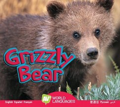 Grizzly Bear - Durrie, Karen