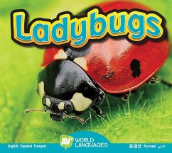 Ladybugs - Carr, Aaron