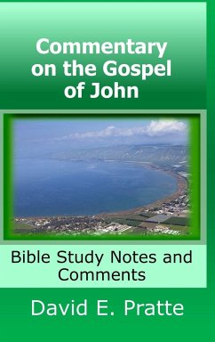 Commentary on the Gospel of John - Pratte, David