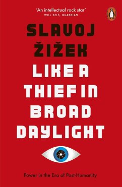 Like A Thief In Broad Daylight - Zizek, Slavoj