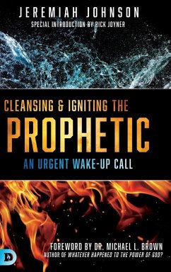 Cleansing and Igniting the Prophetic - Johnson, Jeremiah
