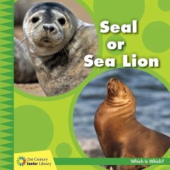 Cover Seal or Sea Lion