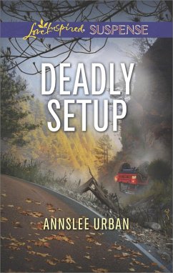 Cover Deadly Setup (eBook, ePUB)