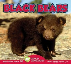Black Bears - McDowell, Pamela