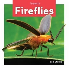 Cover Fireflies