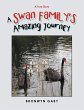 A Swan Family's Amazing Journey - Bild 1