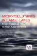 Micropollutants in Large Lakes (eBook,... - Bild 1