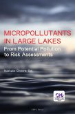 Micropollutants in Large Lakes (eBook, PDF)