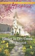 Easter in Dry Creek (eBook, ePUB) - Bild 1